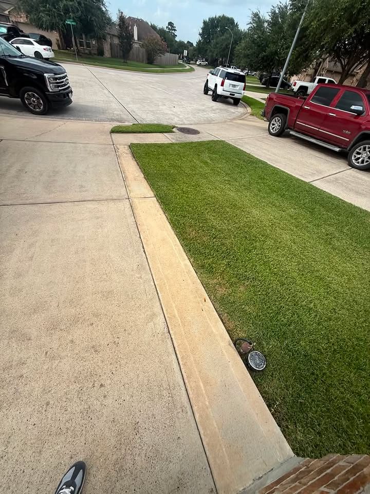 Freshly laid sod strip along a driveway with visible seams