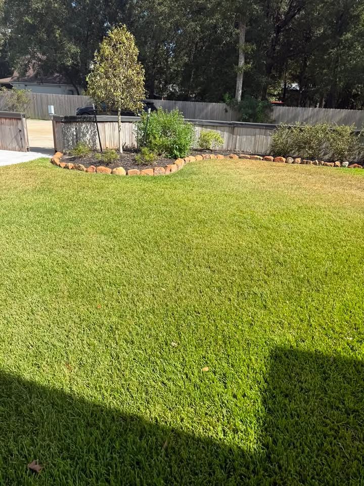 Lush green lawn with a stone-edged landscape bed and young tree