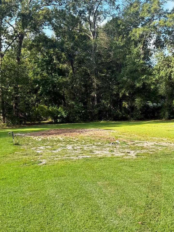 Bare graded soil patch in an established lawn ready for turf