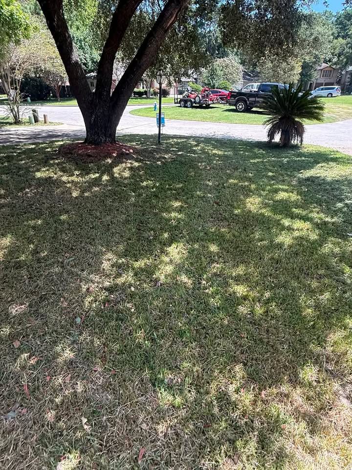 Shaded lawn under a large oak with mowing trailer in the background