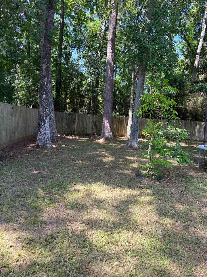 Fenced backyard under tall trees with thin shade-worn lawn